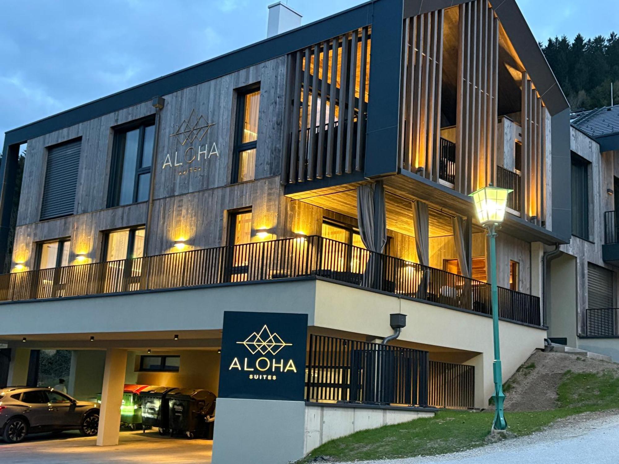 Aloha 2 Haus im Ennstal