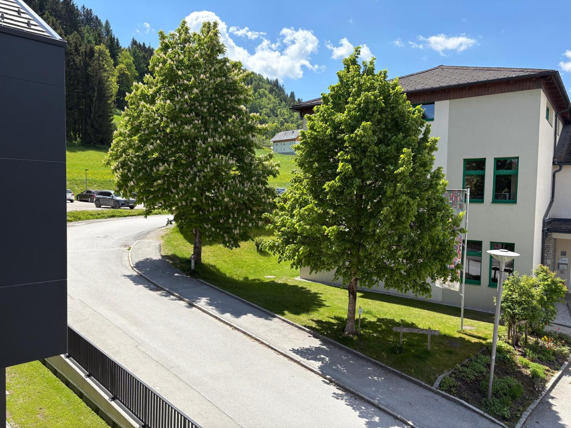 Aloha 2 Apartament Haus im Ennstal